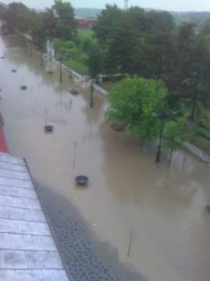 Exclusiv: DSP avertizează populaţia din Cernavodă asupra pericolului îmbolnăvirii de leptospiroză, din cauza inundaţiilor